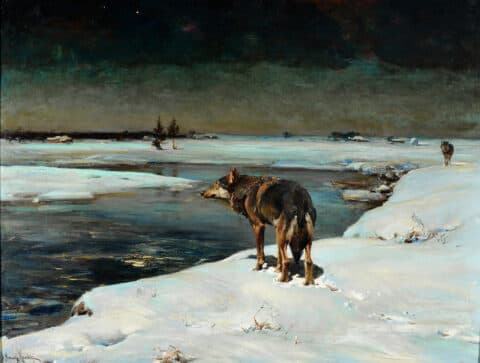 Wilki w nocy, ok. 1900; 79 x 104 cm; Zbiory prywatne